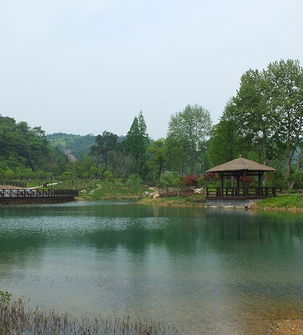 梁希森林公園
